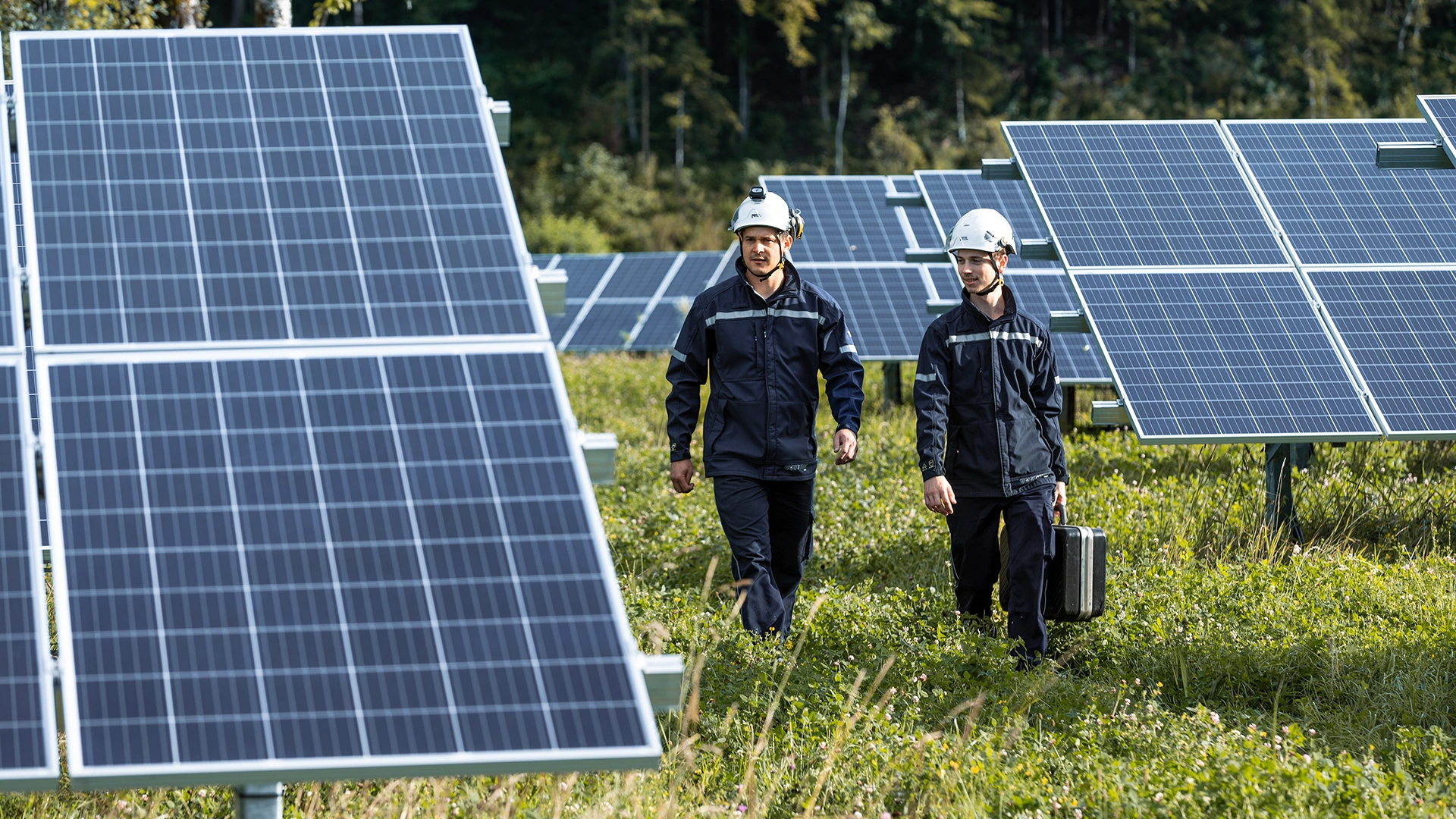 Two men in workwear walk through huge solar panels on a meadow.