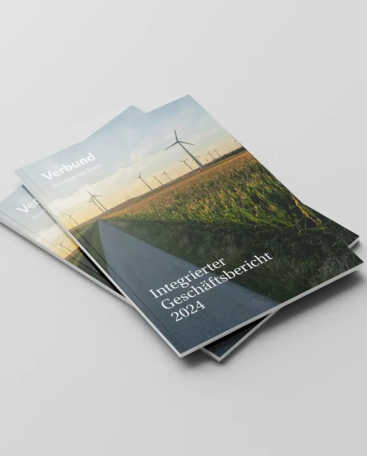 Two integrated annual reports from 2024 can be seen on a light grey background on the right-hand side of the image.
